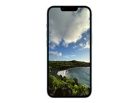 Apple iPhone 14 Plus - 5G smartphone - dual-SIM / Internminne 256 GB - OLED-skärm - 6.7" - 2778 x 1284 pixlar - 2 bakre kameror 12 MP, 12 MP - front camera 12 MP - blå MQ583QN/A