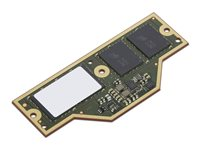Lenovo - LPDDR5X - modul - 64 GB - CAMM - 7500 MHz - grön - för ThinkPad P1 Gen 7 21KW 4X71Q25457