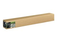 Epson Fine Art - Bomull - matt - 490 mikron - ljus - Rulle (111,8 cm x 15 m) - 300 g/m² - 1 rulle (rullar) lumppapper - för SureColor SC-P20000, SC-P20000SE, SC-P8000, SC-P9000, SC-P9000V C13S450272