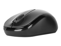 Targus - Mus - optisk - 3 knappar - trådlös - 2.4 GHz - trådlös USB-mottagare - svart AMW060EU