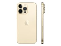 Apple iPhone 14 Pro Max - 5G smartphone - dual-SIM / Internminne 1 TB - OLED-skärm - 6.7" - 2796 x 1290 pixels (120 Hz) - 3 st. bakre kameror 48 MP, 12 MP, 12 MP - front camera 12 MP - guld MQC43QN/A