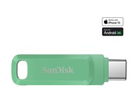 SanDisk Ultra Dual Drive Go - USB flash-enhet - 1 TB - USB 3.1 Gen 1 / USB-C - absinthe green SDDDC3-1T00-G46AG