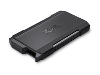 SanDisk Professional PRO-BLADE - Förvaringslåda - USB 3.2 (Gen 2x2) SDPM2NB-0000-GBAND