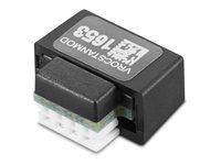 Lenovo ThinkStation VROC Key Module by Intel - Basic - Uppgraderingsnyckel till RAID-kontroller RAID 0/1/5/10-aktivering - 1 styrenhet för lagring - CRU 4XH1Q31358